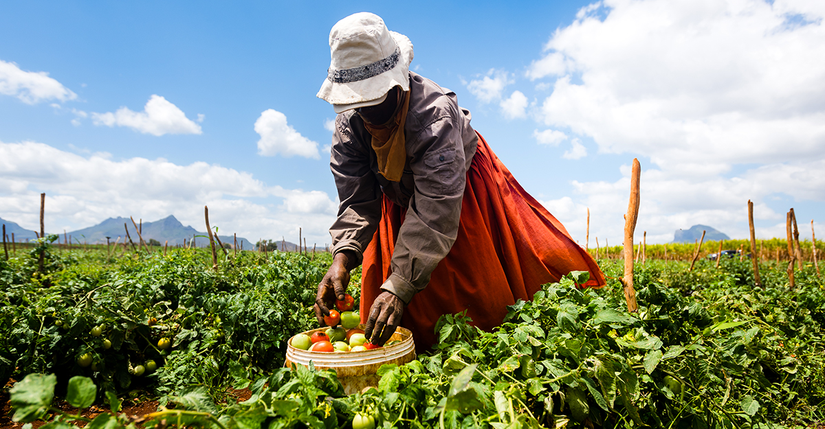 project-smart-agriculture