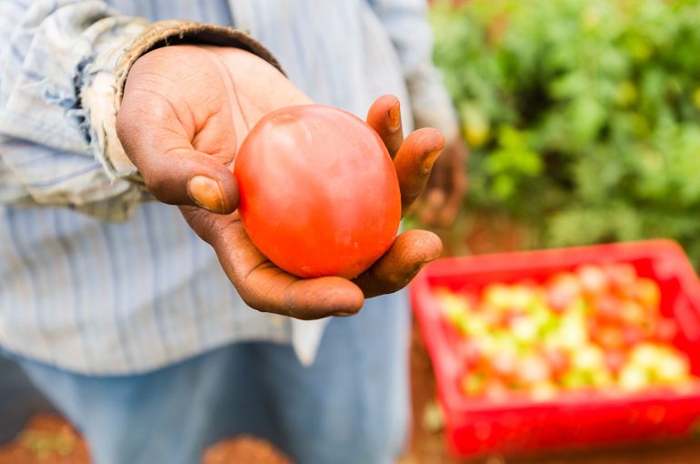 Le but du projet Smart Agriculture