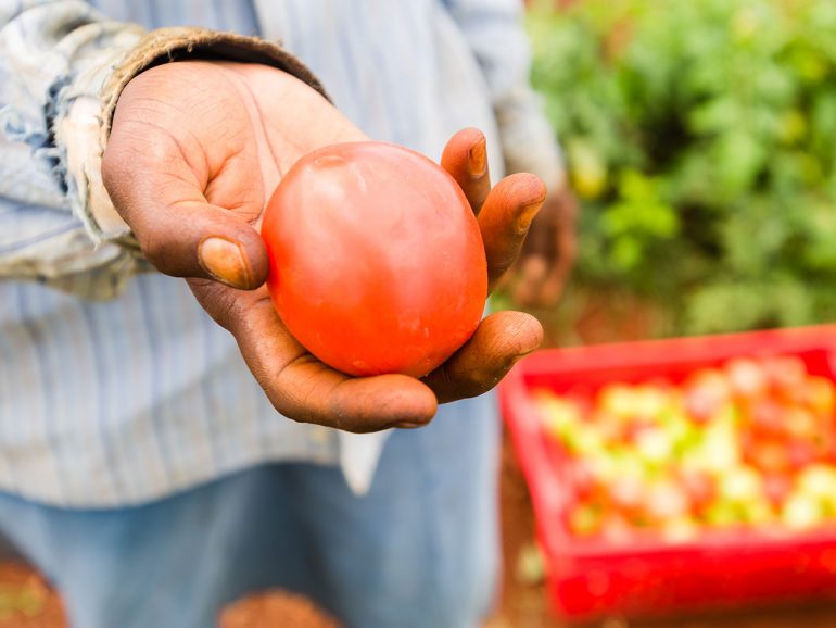 Le but du projet Smart Agriculture