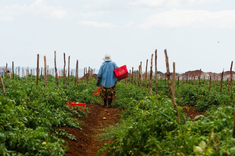 Le Guide du Pti Agriculteur