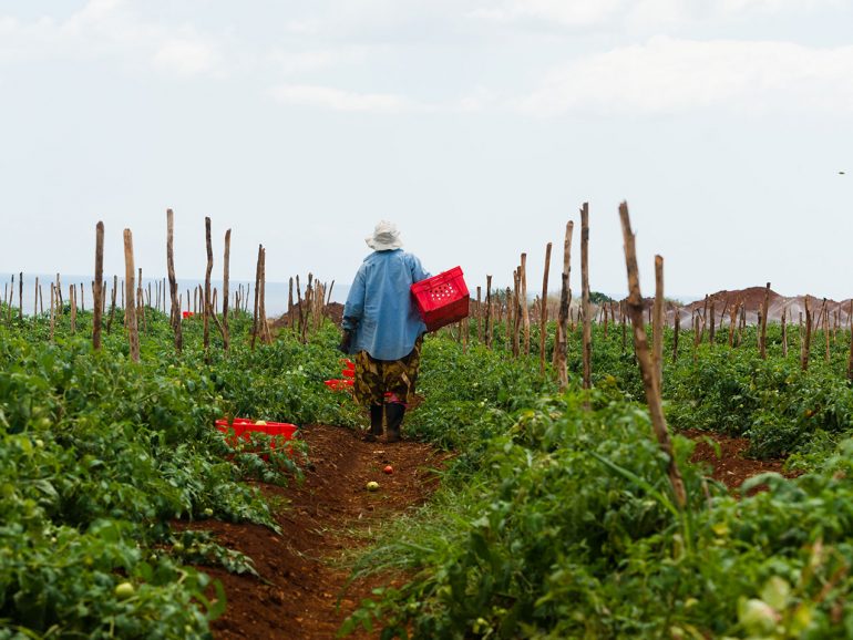 Le Guide du Pti Agriculteur