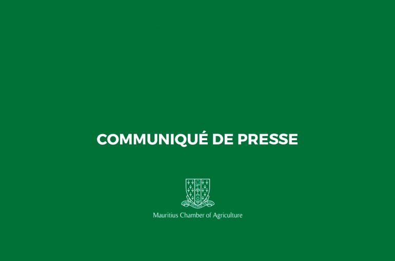 Le 2e communiqué de presse pour la récolte sucrière 2020