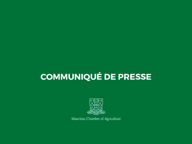 Le 2e communiqué de presse pour la récolte sucrière 2020