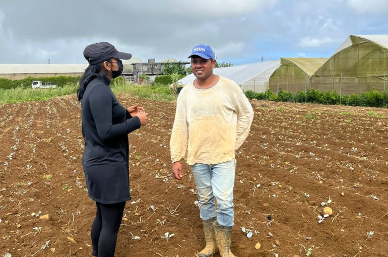 Desan lor terin : L’équipe de Smart Agriculture au plus près des bénéficiaires